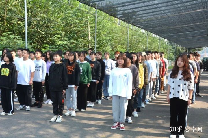 卓鼎教育丨以素拓之名，展卓鼎风采！